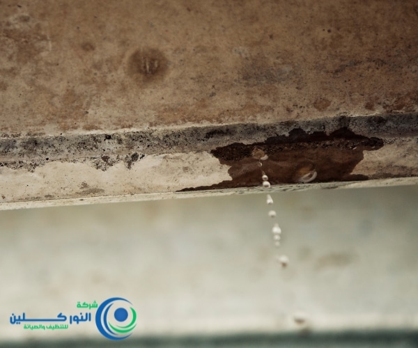 شركة كشف تسربات بالدمام