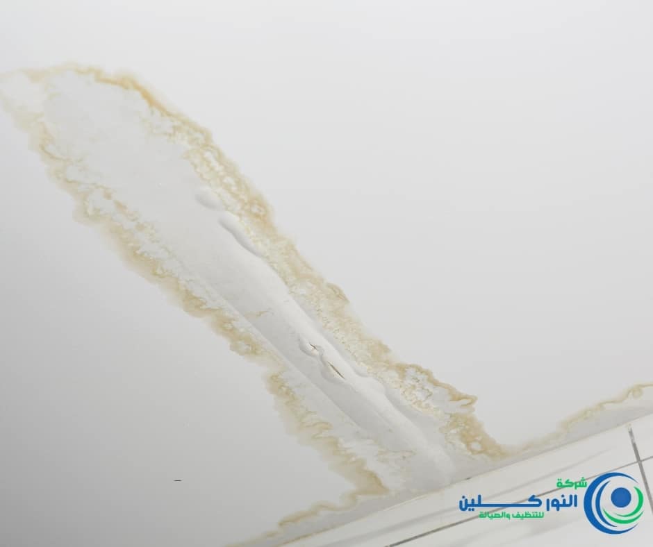 شركة كشف تسربات بالاحساء