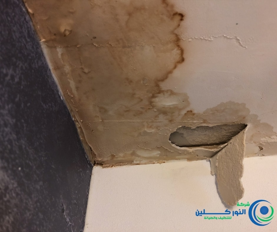 شركة كشف تسربات بالنعيريه