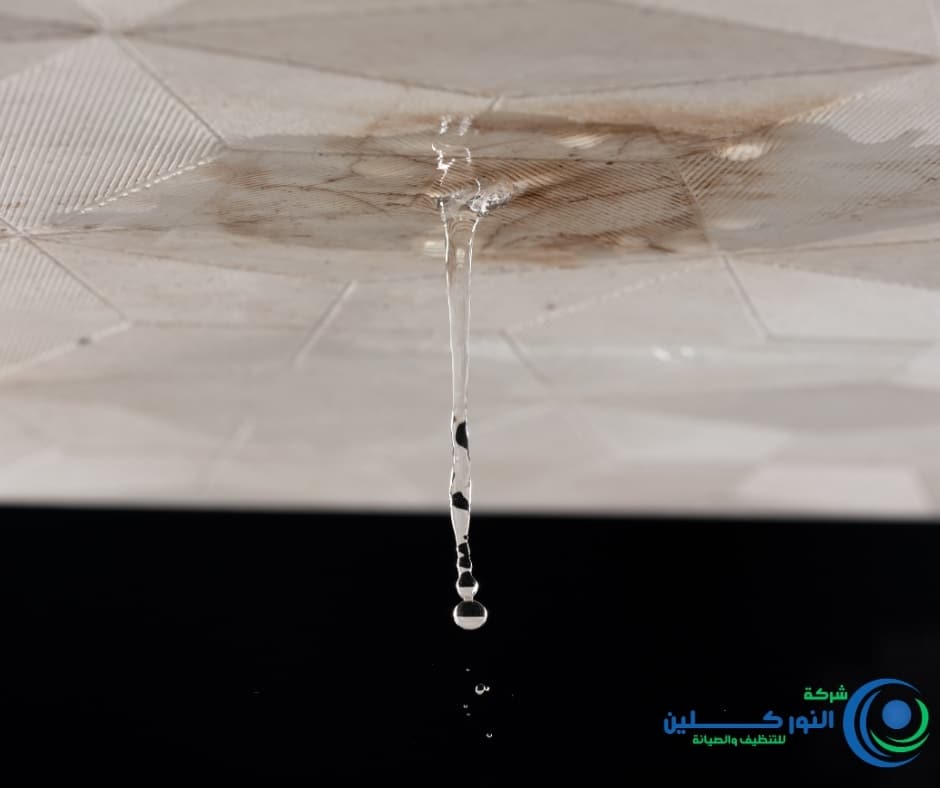 شركة كشف تسربات بالنعيريه