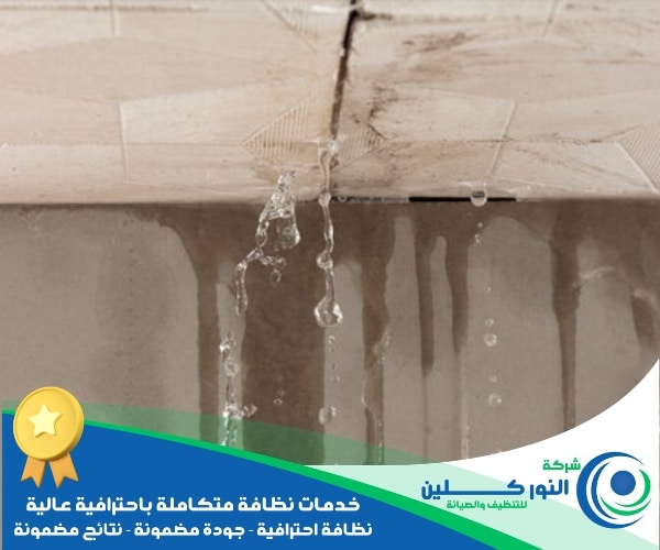 شركة كشف تسربات بالاحساء