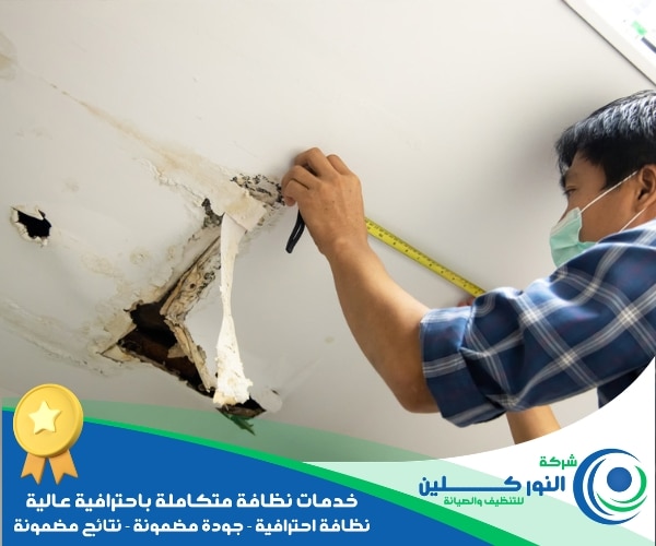 شركة كشف تسربات بالجبيل الصناعية