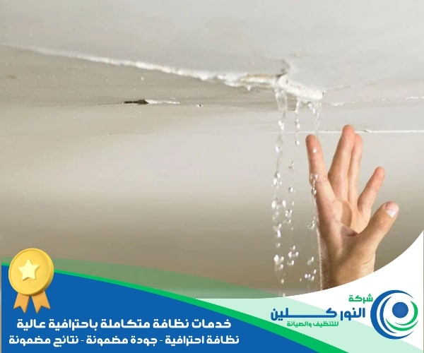 شركة كشف تسربات بالمبرز