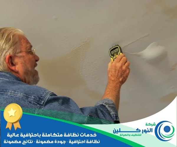 شركة كشف تسربات بالنعيريه