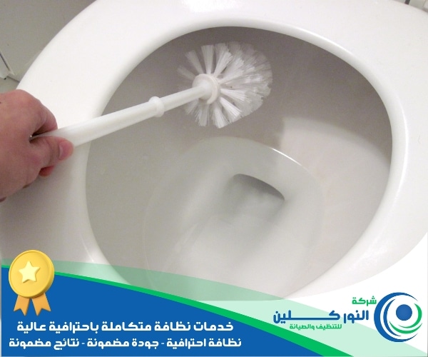 شركة تنظيف حمامات بصفوى