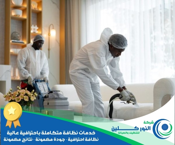 شركة تنظيف شركات بالنعيرية