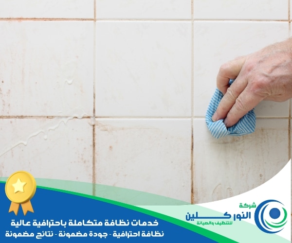 شركة تنظيف حمامات بسيهات